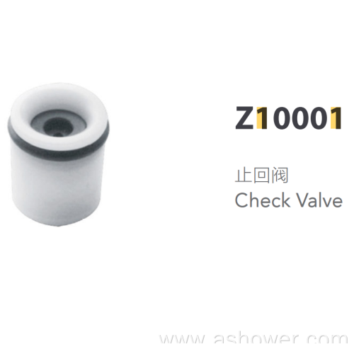 ABS Plastic Check Valve